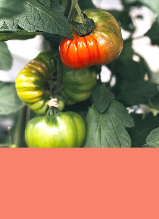Startseite Banner