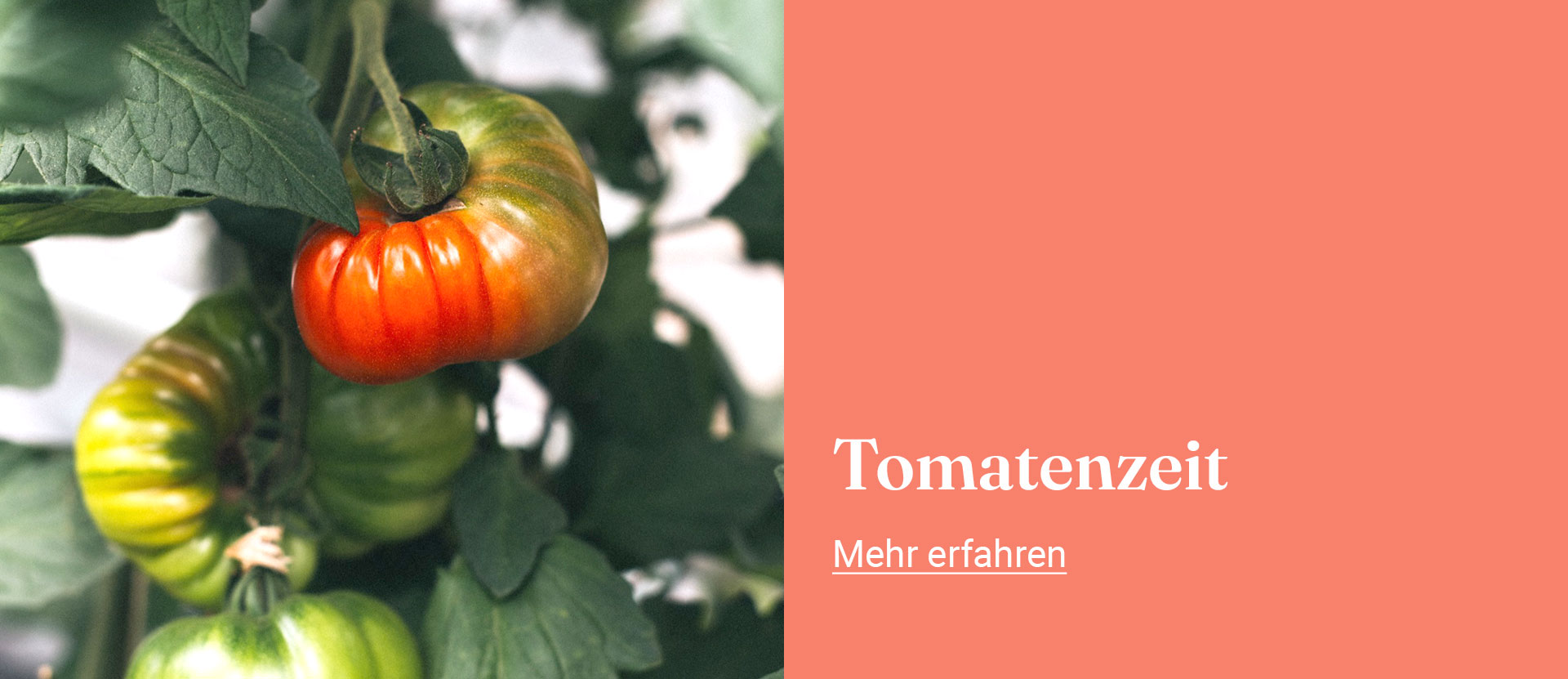 Startseite Banner