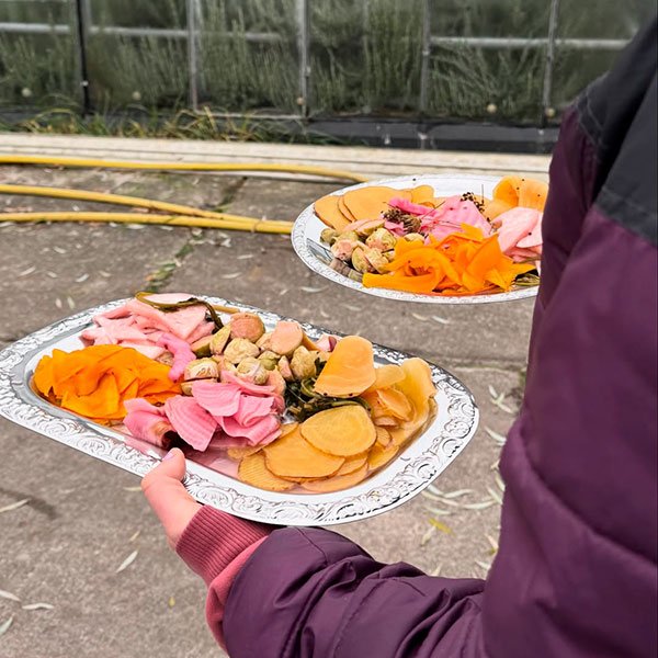 Veganuary-Aktion Rezept-Foto