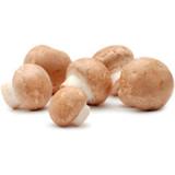 Steinchampignons