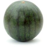Wassermelone mini