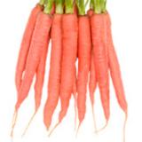 Möhre "rote Helene"