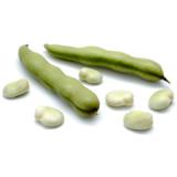 Dicke Bohnen