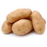 Kartoffel vorwiegend festkochend