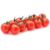 Tomate Cherrystrauch