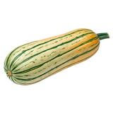 Kürbis Bush Delicata ca. 0,45kg