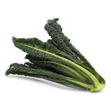 Toskanischer Palmkohl