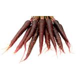 Möhren Purpurne Paula