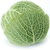 Wirsingkohl Spitz