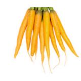 Möhren gelbe Marie