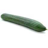 Salatgurke