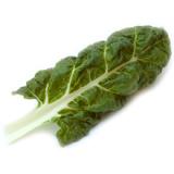 Mangold grün ca. 0,5-0,8kg