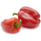 Paprika rot