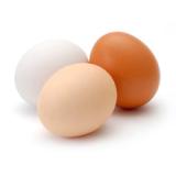 Eier 10 Stück