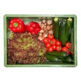 Überraschungskiste L