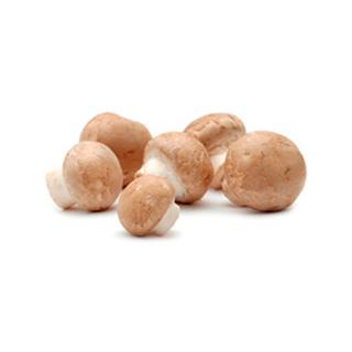 Steinchampignons