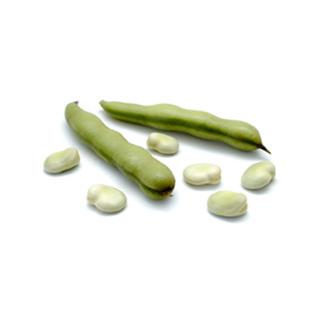 Dicke Bohnen