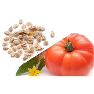 Saatgut Tomate »Vierländer Platte«