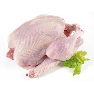 Pute 3-4 kg
