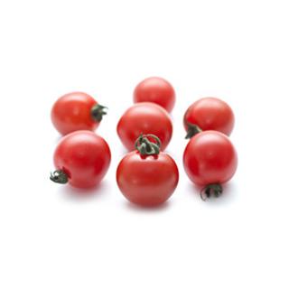 Tomate Kirsch Sakura