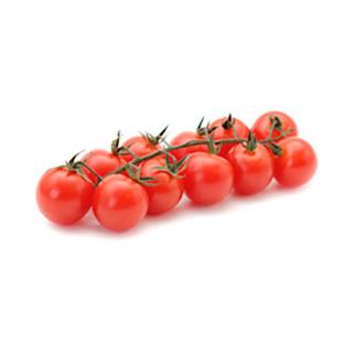 Tomate Cherrystrauch