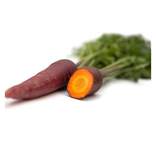Möhren Soletta (lila, orange)