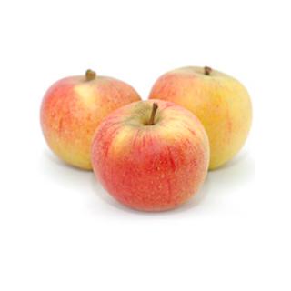 Apfel Cox Orange