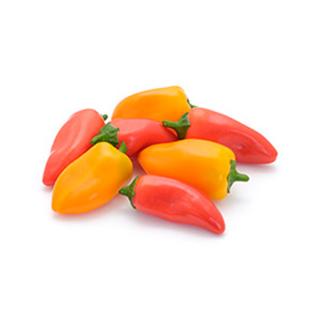 Snackpaprika Sweet (orange, rot, gelb)