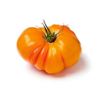 Tomate "Rebellion gelb"