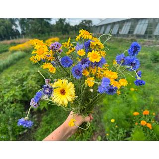 Kleiner Wildblumenstrauß ca.200g