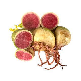 Wassermelonen Rettich