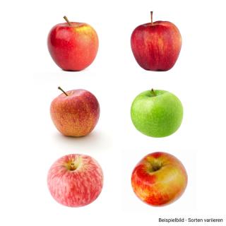 Apfel Probierpaket (ab 08.09.25)