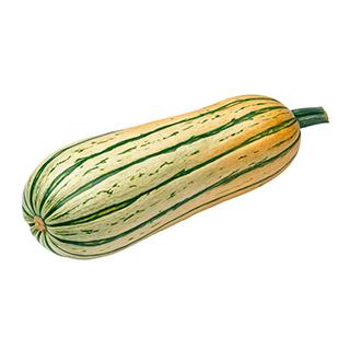 Kürbis Bush Delicata ca. 450g