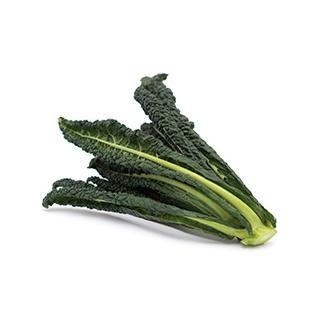 Toskanischer Palmkohl