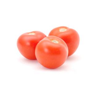 Tomate Roma