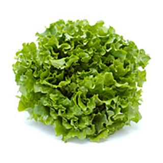 Batavia Salat