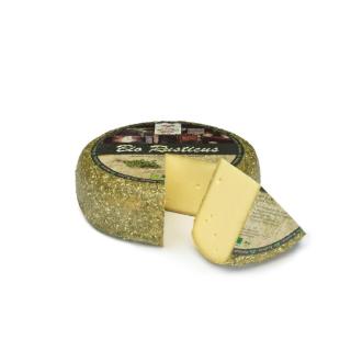 Rusticus (Schabzigerklee)