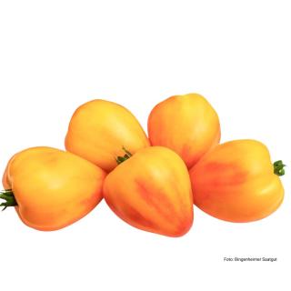 Tomate "Sonnenherz"