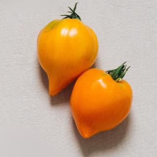 Tomate "Gelbe von der Krim"