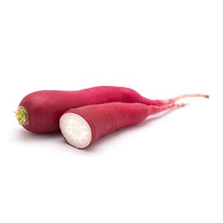 Rettich rot