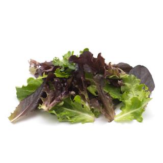 Babyleaf Salat