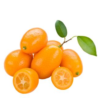 Kumquat