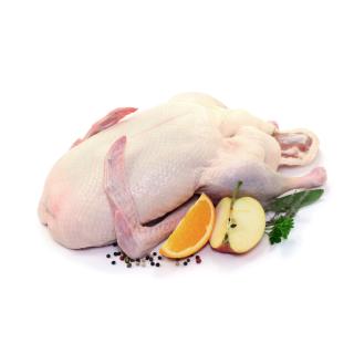 Ente  groß ca. 3,5-4,5 kg