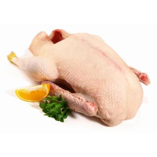 Gans mittel ca. 4- 4,9 kg