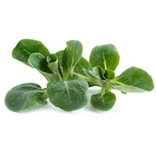 Feldsalat