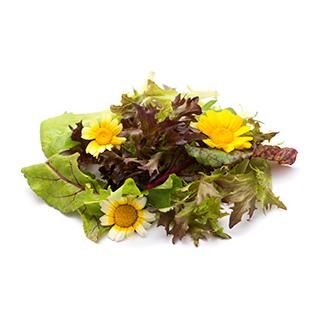 Sommerblütensalat