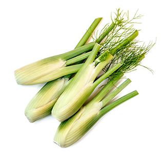 Baby - Fenchel mit grün (ab dem 30.06.2025)
