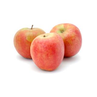 Apfel Holsteiner Cox