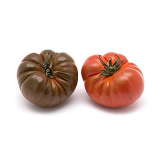 Tomate "Rebellion rot"