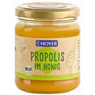 Propolis in Honig